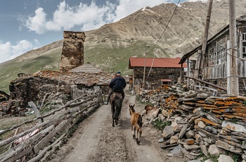 Lokal på hest gennem Ushguli - bjerglandsbyen i Georgien