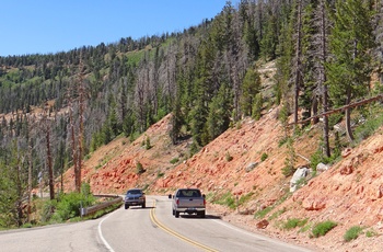 Cedar Breaks National Monument Scenic Drive eller Highway 148 i Utah