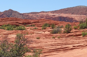 Snow Canyon State Park i Utah, USA