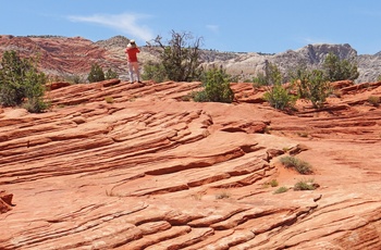 Snow Canyon State Park i Utah, USA