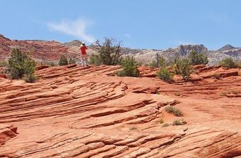 Snow Canyon State Park i Utah, USA