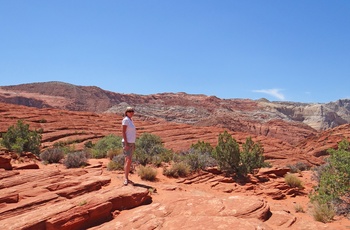 Snow Canyon State Park i Utah, USA