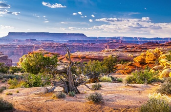 Canyonlands National Park i Utah, USA