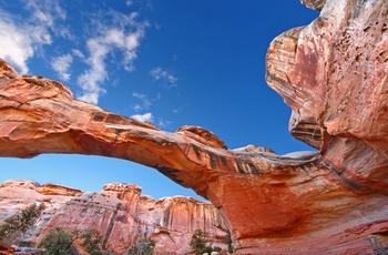 Hickman Bridge i Capitol Reef National Park - Utah i USA