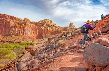 Vandretur i Capitol Reef National Park - Utah i USA