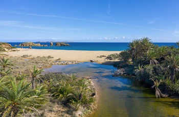 Vai-stranden på Kreta  -Grækenland