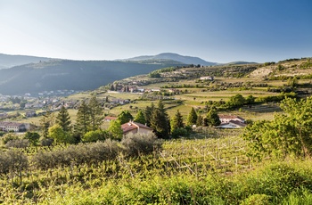 Valpolicella - vinområde tæt på Gardasøen