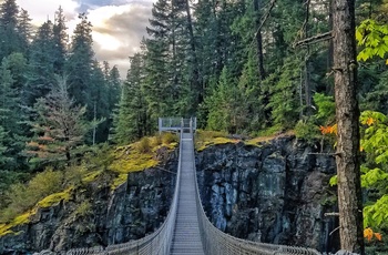 Elk Falls Suspension Bridge - Vancouver Island