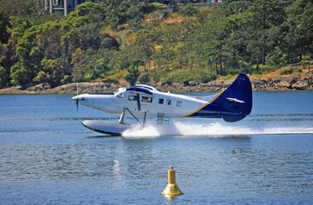 Vandflyver - Vancouver Island - Canada