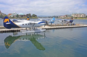 Vandflyvere i havnen i Victoria - Vancouver Island