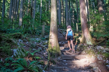 Vandretur på Grouse Mountain, Vancouver i Canada