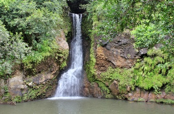 Vandfaldet Alexandra Falls i Mauritius