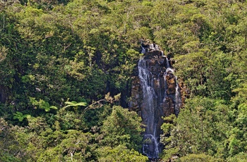 Frodig regnskov og vandfaldet Alexandra Falls i Mauritius