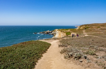 Vandrere på Bodega Head Trail