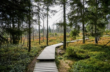 Foto: Vandrerute fra Torfhaus til toppen af Brocken - © FDM Travel, Shutterstock
