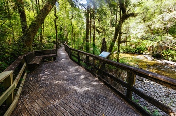 Vandresti i Franklin-Gordon Wild Rivers National Park - Tasmanien