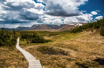 Vandresti i Gros Morne National Park, Newfoundland - Canada