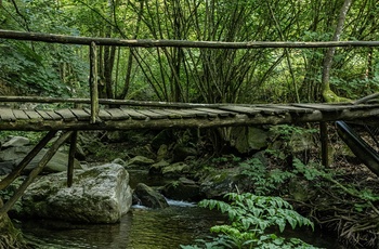 Vandresti på Holomontas-bjerget på Halkidiki - Grækenland