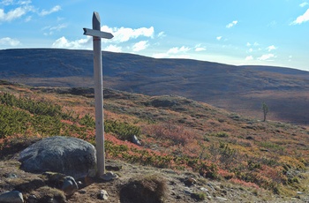 Vandresti i Yllastunturi National Park i Lapland - det nordlige Finland 