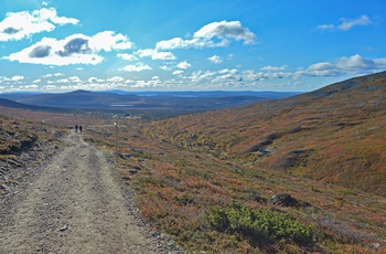 Vandresti i Yllastunturi National Park i Lapland - det nordlige Finland