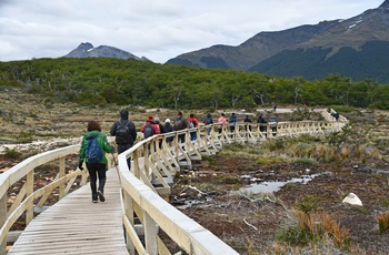 Vandring mod Laguna Esmeralda nær Ushuaia i Argentina - Patagonien