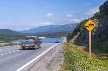 Vej gennem Gros Morne National Park, Newfoundland - Canada