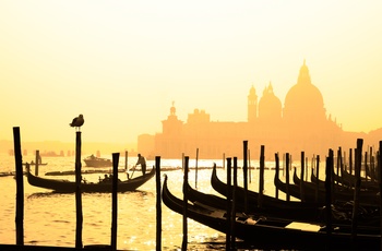 Gondoler og Santa Maria della Salute katedralen i solnedgang, Venedig