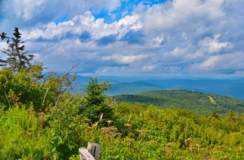 Udsigt ud over Green Mountains om sommeren, Vermont i USA