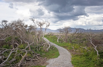 The Promontory Nationalpark i Victoria, Australien