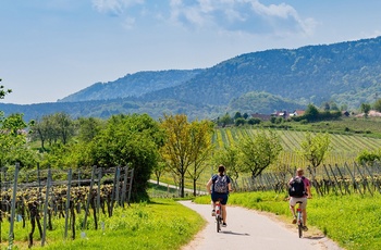 Deutsche Weinstrasse, Rheinland-Pfalz, Tyskland