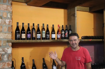 Rundvisning på vingården Kourtis Winery - Grækenland