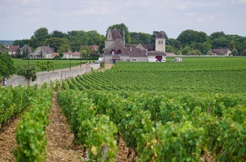 Vinmarker Routes des Grand Crus Bourgogne