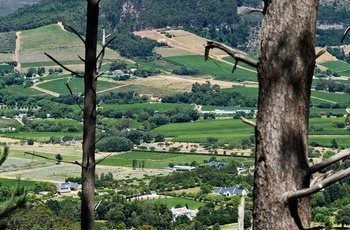 Udsigt til vinmarker og gårde i Franschhoek i Sydafrika - Foto: Weyland Swart, Unsplash