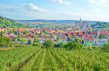 Vinmarker ved Mikulov - Tjekkiet