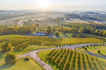 Stort vinområde i Virginia