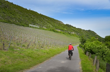 På cykel gennem vinområde i Saale-Unstrut - Sachsen-Anhalt