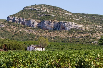 Vinområdet Nemea på Peloponnes - Grækenland