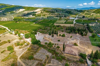 Zeus-templet og vinområdet Nemea på Peloponnes - Grækenland