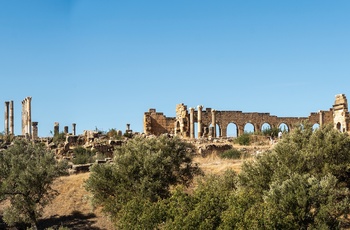 Volubilis - romerske ruiner nord for Meknes - Marokko