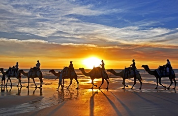 Solnedgang på kameltur langs Cable Beach - Western Australia