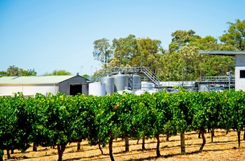 Vinmark foran vingård i Margaret River vinregion - Western Australia