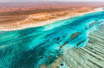 Kysten og Ningaloo Reef nær Coral Bay set på en flyvetur - WA