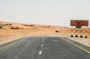 Fra asfalt til ørken i Wahiba Sands - ørken i Oman