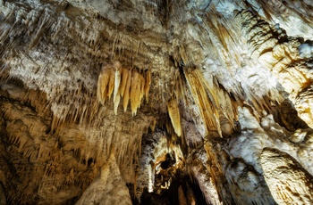 Grotte med drypsten, Waitomo på New Zealands nordø