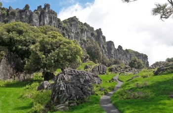 Trollshaw Cliff nær Waitomo hvor Hobitten blev optaget, New Zealands nordø