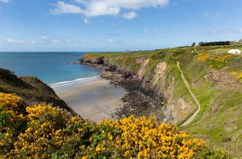 Wales - Pembrokeshire Coastal Path ved Caerfai Bay