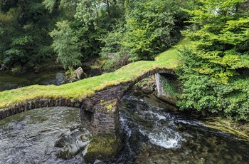 Wales - broen Pont Minllyn over river Dyfi ved Mallwyd