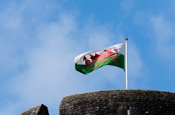 Wales - det walisiske flag over Caerphilly Castle