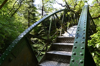 Wales - fodgængerbro i jern over Mynach River ved Devils Bridge