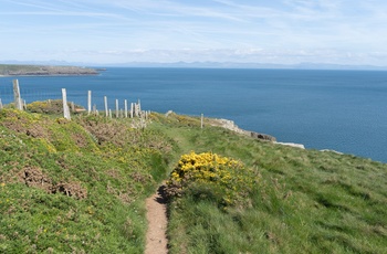 Wales - nyd udsigten over Cardigan Bay fra Wales Coastal Path